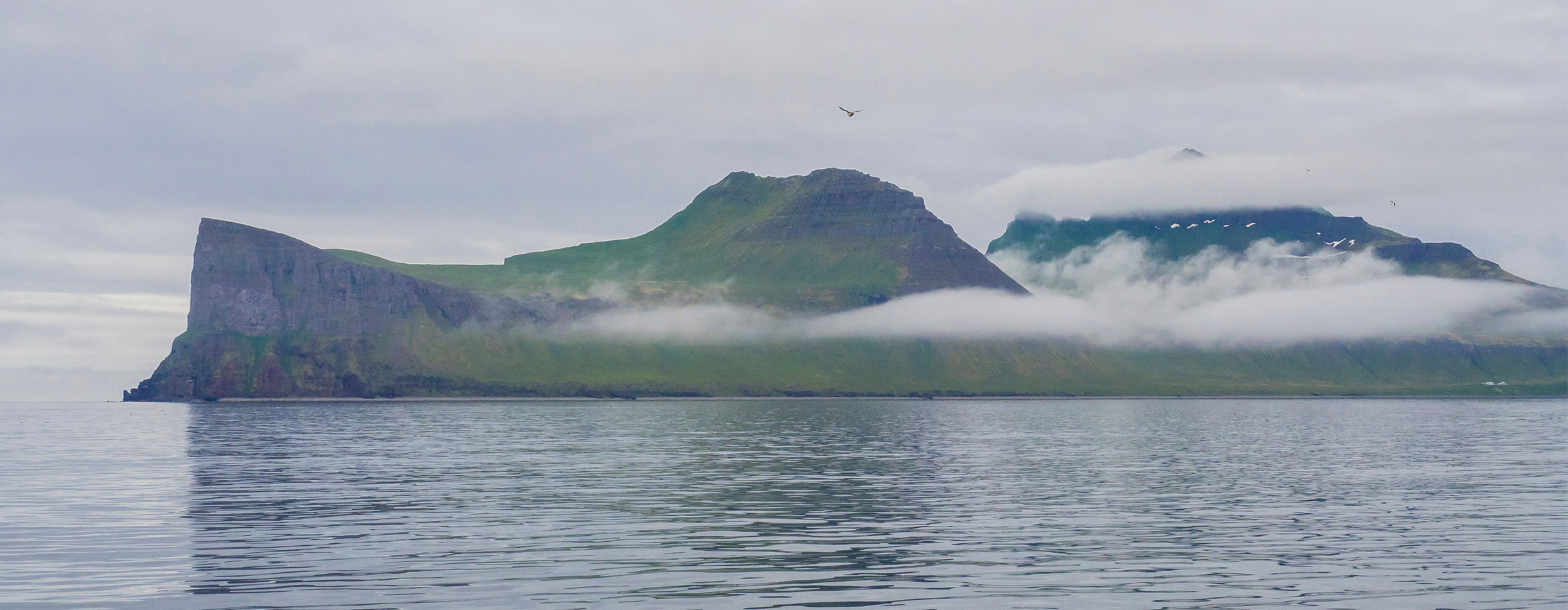 Iceland hornbjarg cd